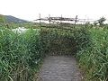 bird hide2